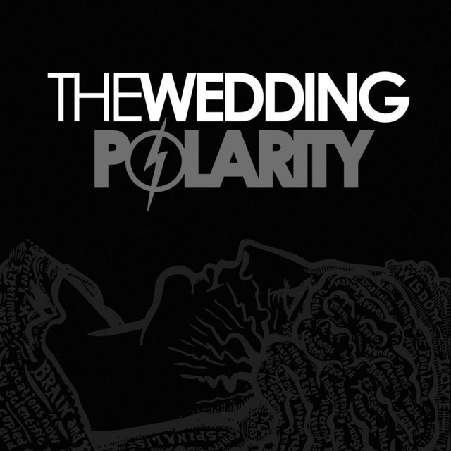 Polarity cover art