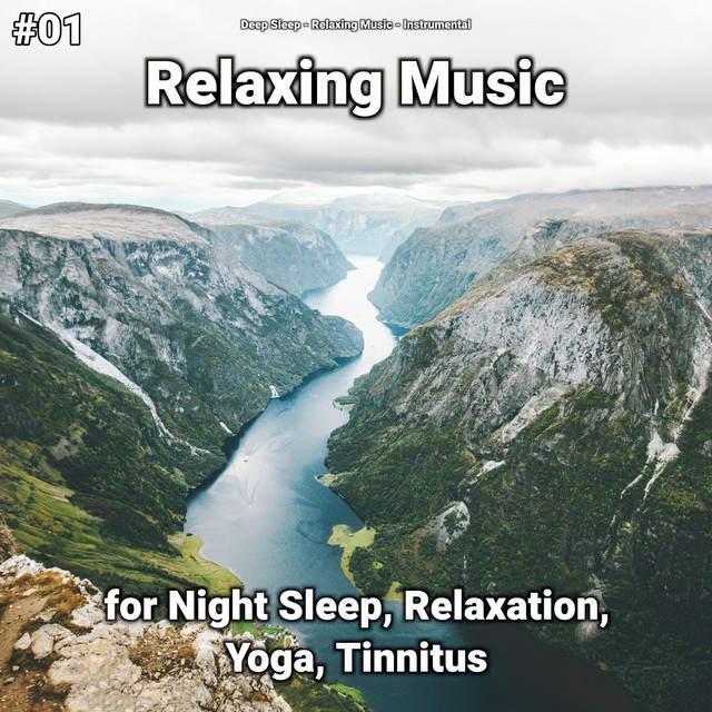 #01 Relaxing Music for Night Sleep, Relaxation, Yoga, Tinnitus cover art
