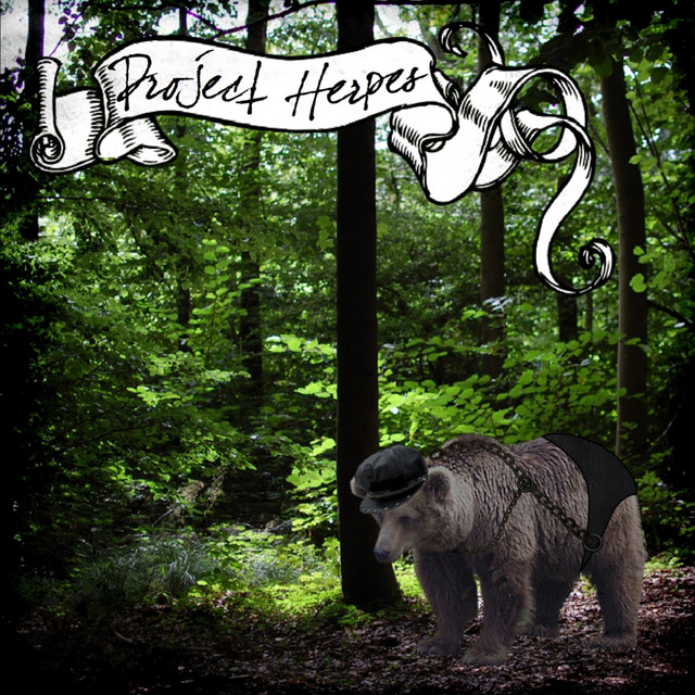 Bear cover art
