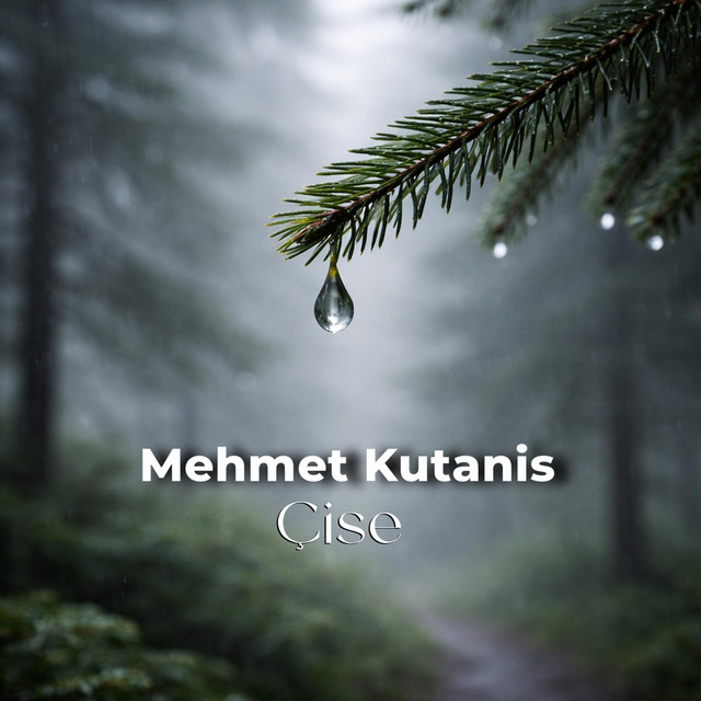 Mehmet Kutanis