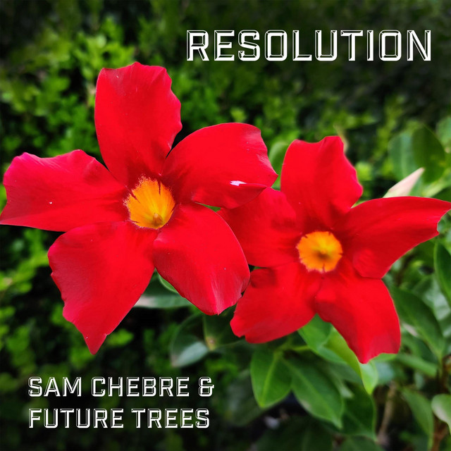 Resolution cover art