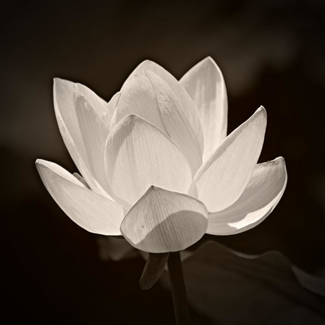 Doi ken Thanh Ha