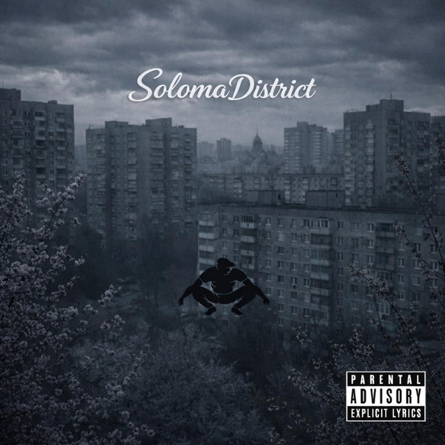 Обкладинка: Замучала параноя — solomadistrict