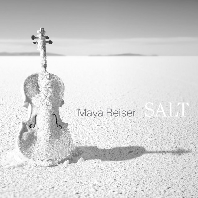 Salt cover art