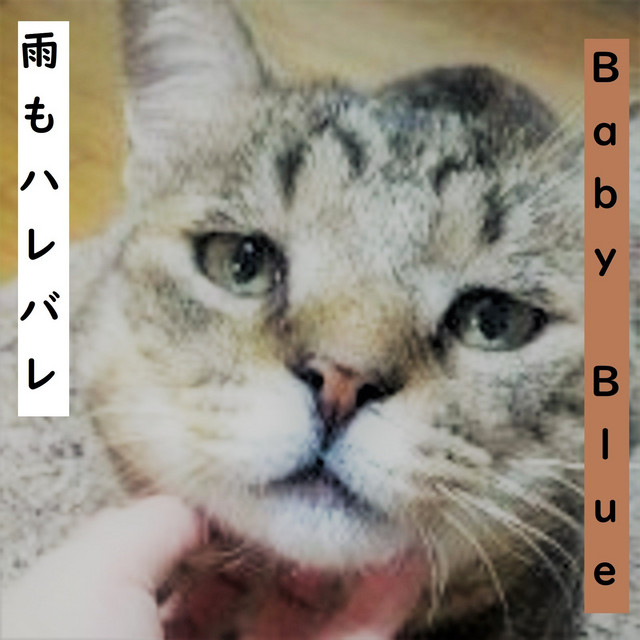 雨もハレバレ cover art