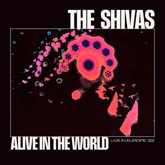Alive in The World cover art