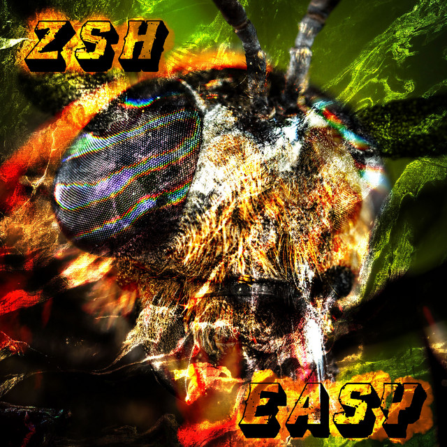 ZSH