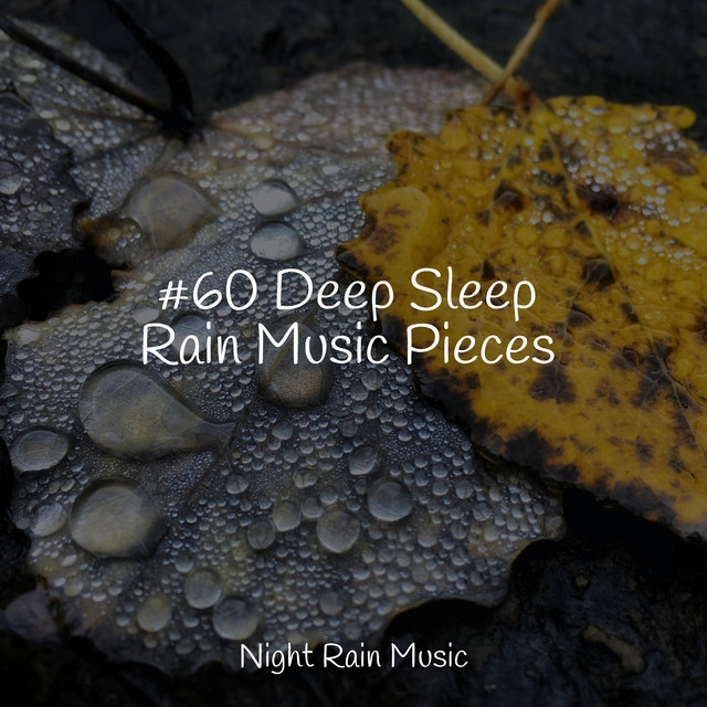 #60 Deep Sleep Rain Music Pieces - Album by Sounds of Nature White ...