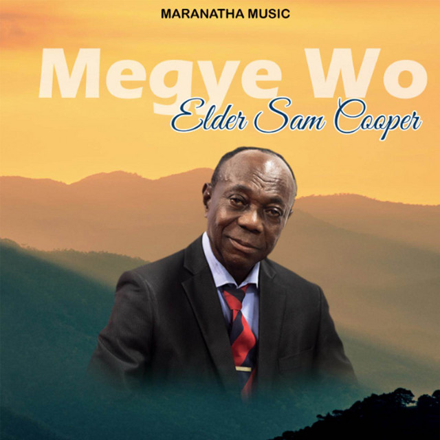 Megye Wo cover art