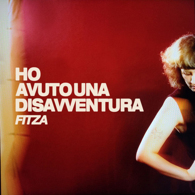 Ho avuto una disavventura cover art