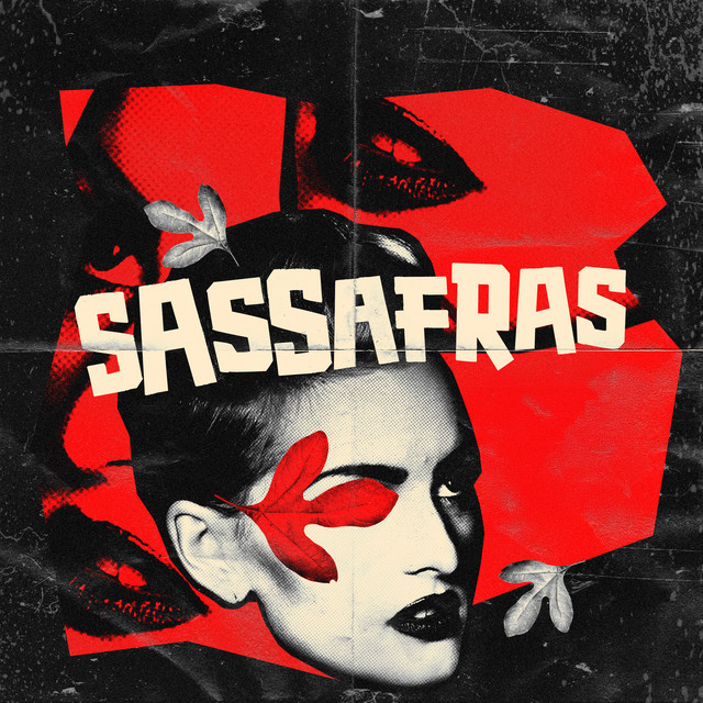 Sassafras