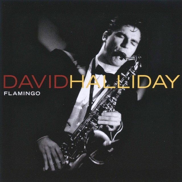 Flamingo cover art