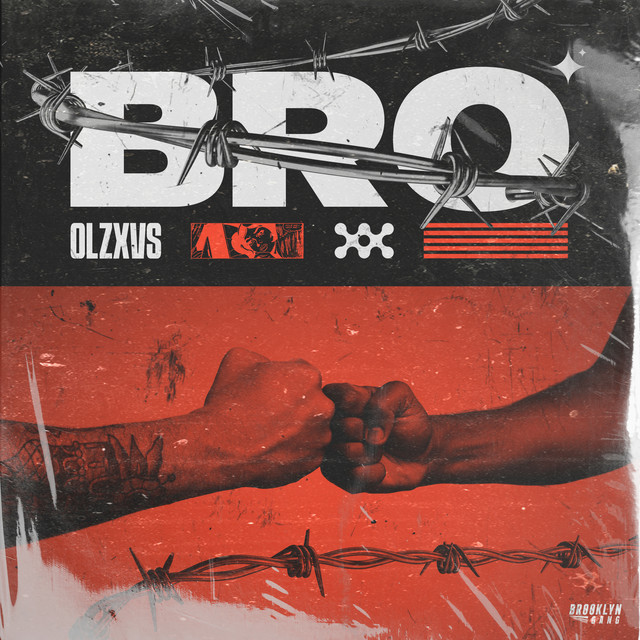 Обкладинка: Bro — OLZXVS