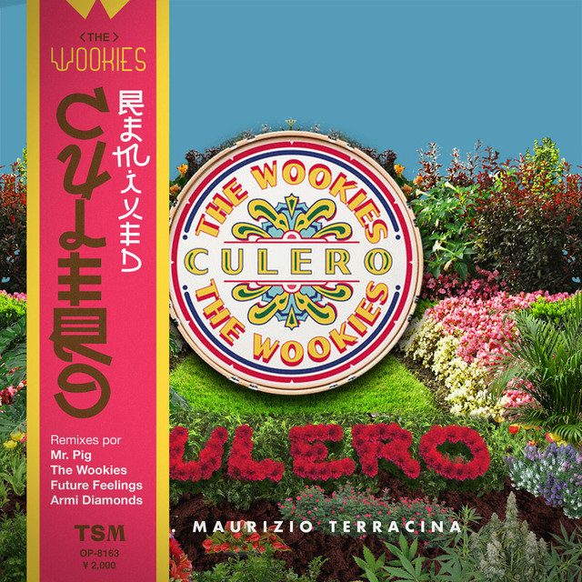 Culero - Future Feelings Remix cover art