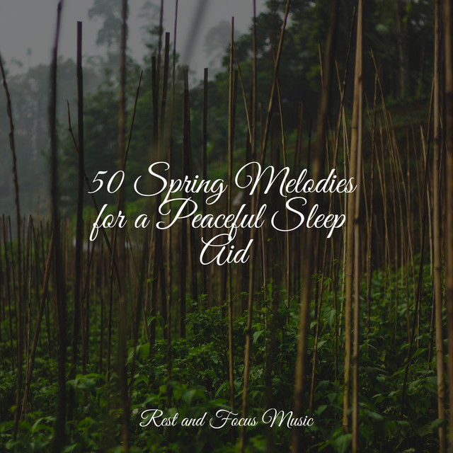 50 Spring Melodies for a Peaceful Sleep Aid - Album by Música de la ...