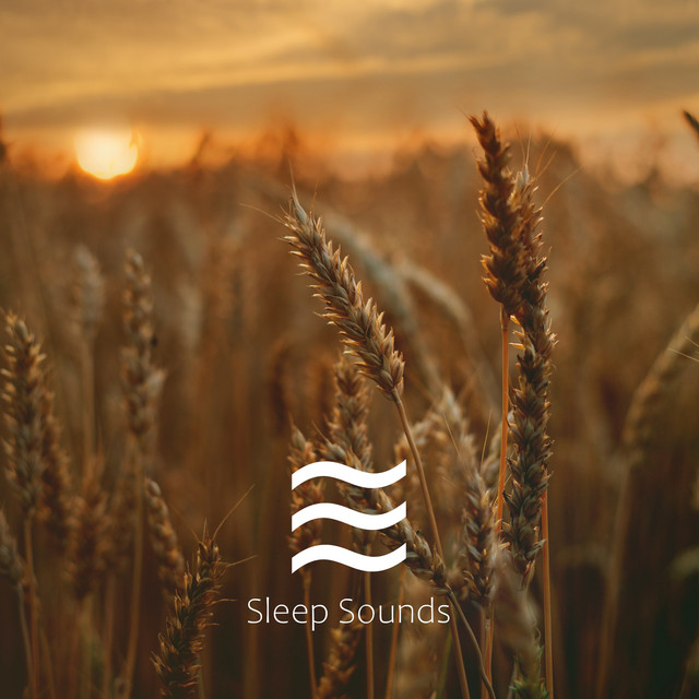 Shushers Noises for Kids - Album de Water Sound Natural White Noise ...