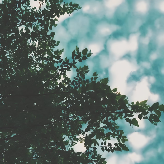 two album image