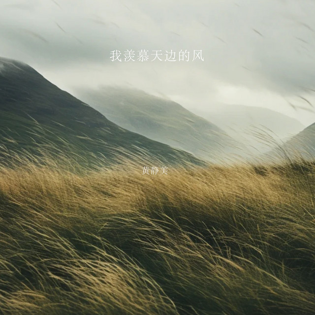 我羡慕天边的风 - DJEva版