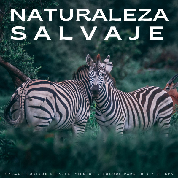 Naturaleza Salvaje: Calmos Sonidos De Aves, Vientos y Bosque Para Tu Día De Spa cover art