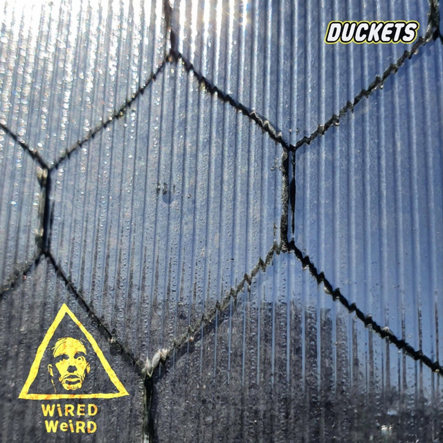 Wired Weird cover art