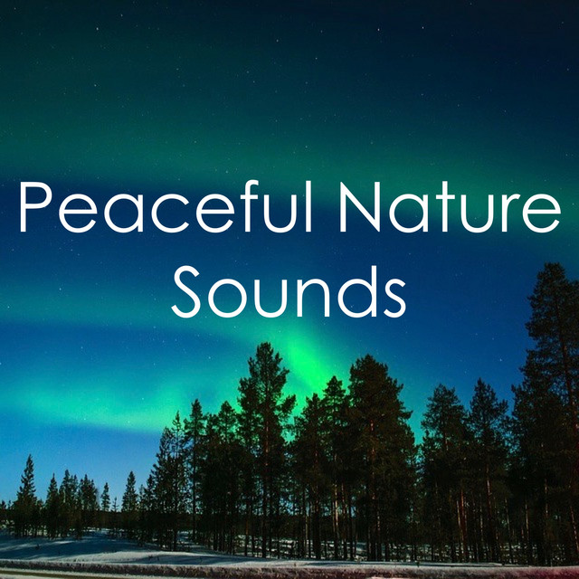 15 White Noise Tracks: Natural Relief from Anxiety and Deep Sleep cover art
