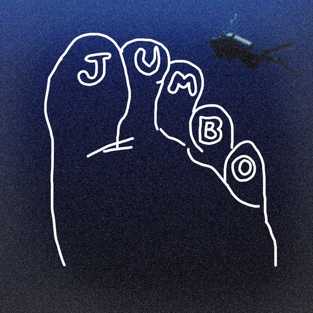 Platypus / Witch cover art
