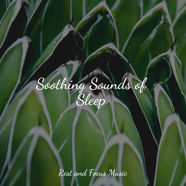 Soothing Sounds of Sleep - Album by Musica Reiki | Spotify