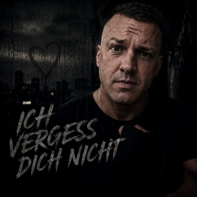 Ich vergess Dich nicht cover
