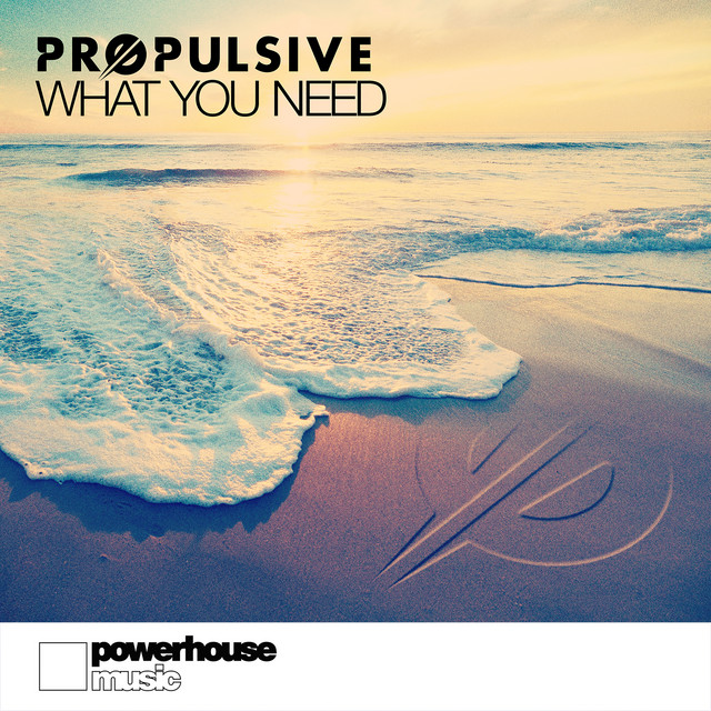 What You Need cover