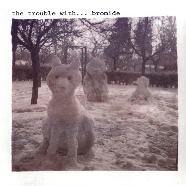 The Trouble With... cover art