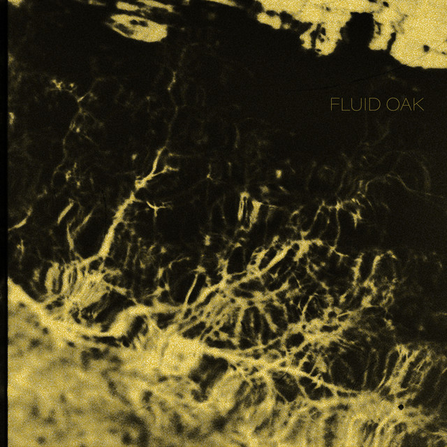 Fluid Oak cover art