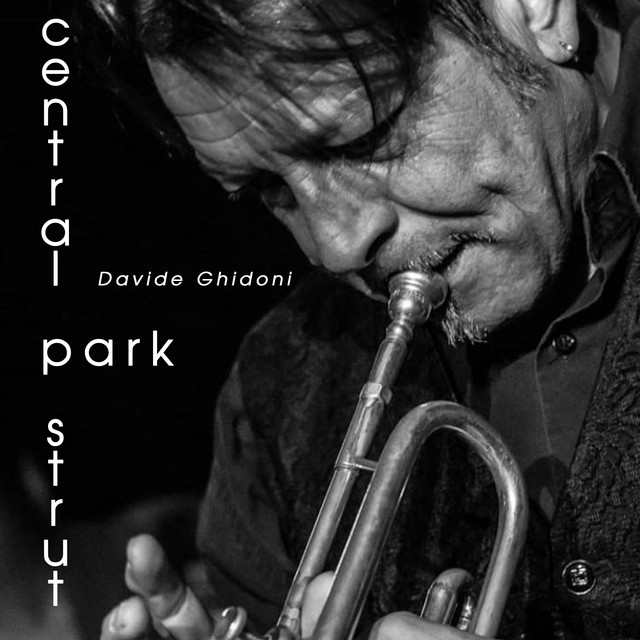 Central park strut cover