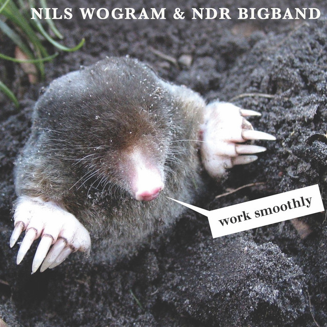 Work Smoothly cover art