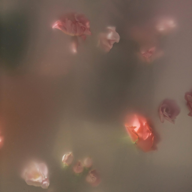 Elin Smith Photo