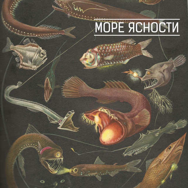 Обкладинка Море Ясности — Море ясности