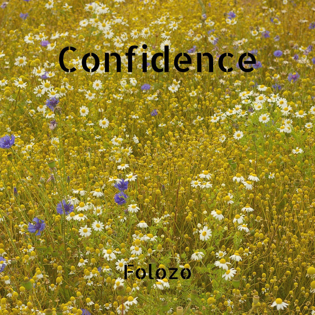 Confidence cover art