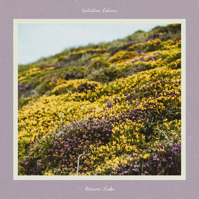 Solstice Reborn cover art