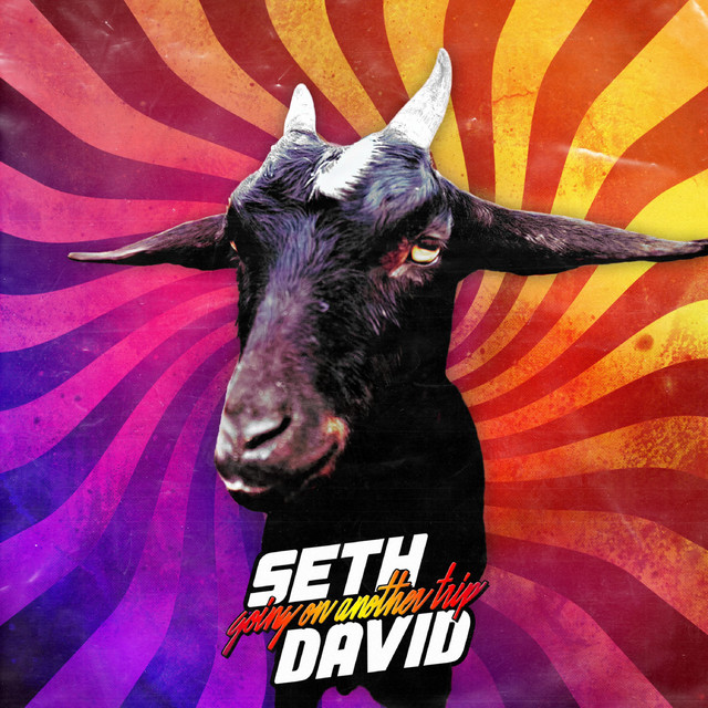 Speed Dial cover art