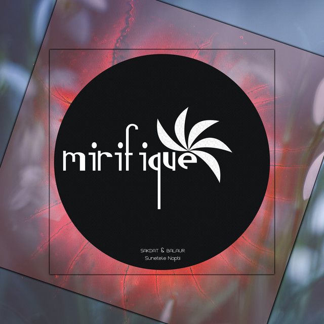 Sunetele Noptii cover art