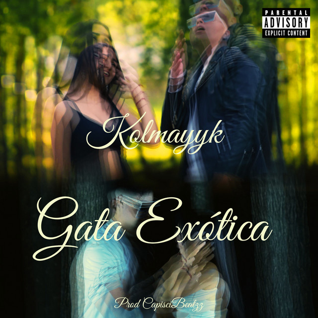 Gata Exótica
