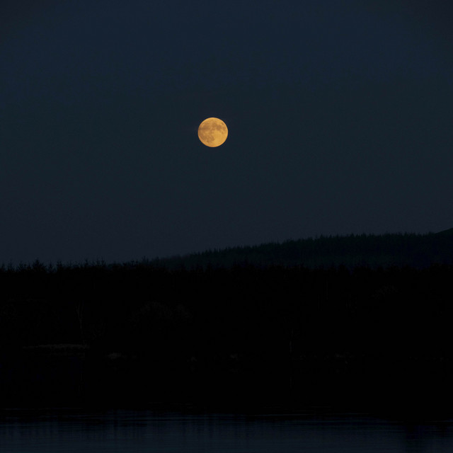 Moonlit cover art