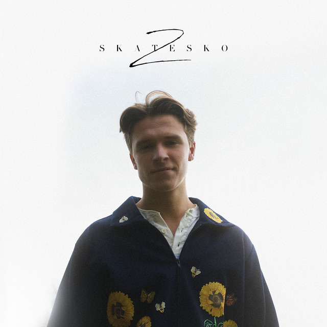 Skatesko cover art