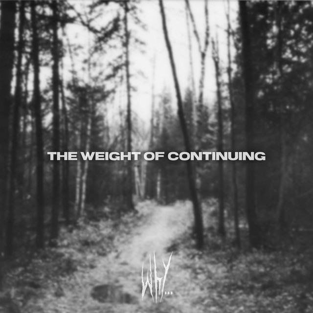 why... – Fragments of a Forgotten Self