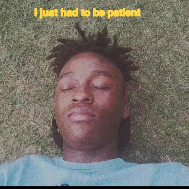 I just had to be patient cover art
