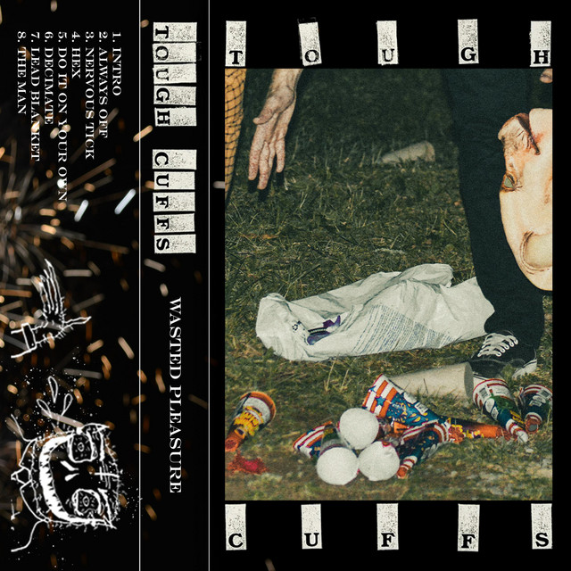 Wasted Pleasure cover