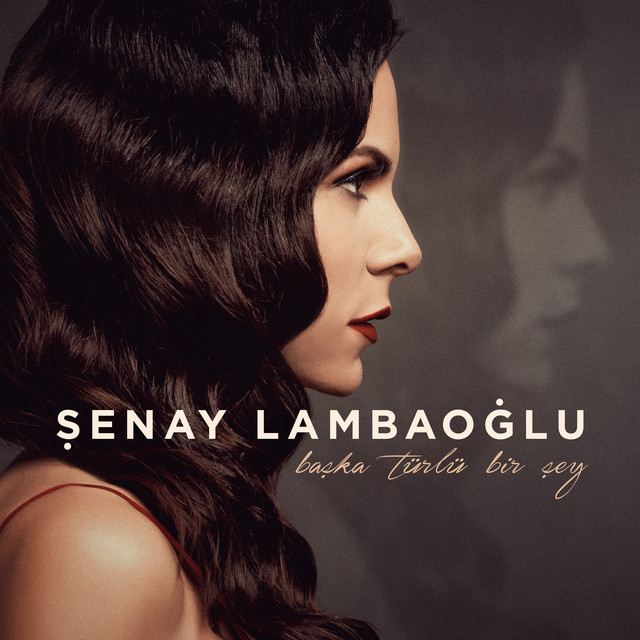 Başka Türlü Bir Şey cover art