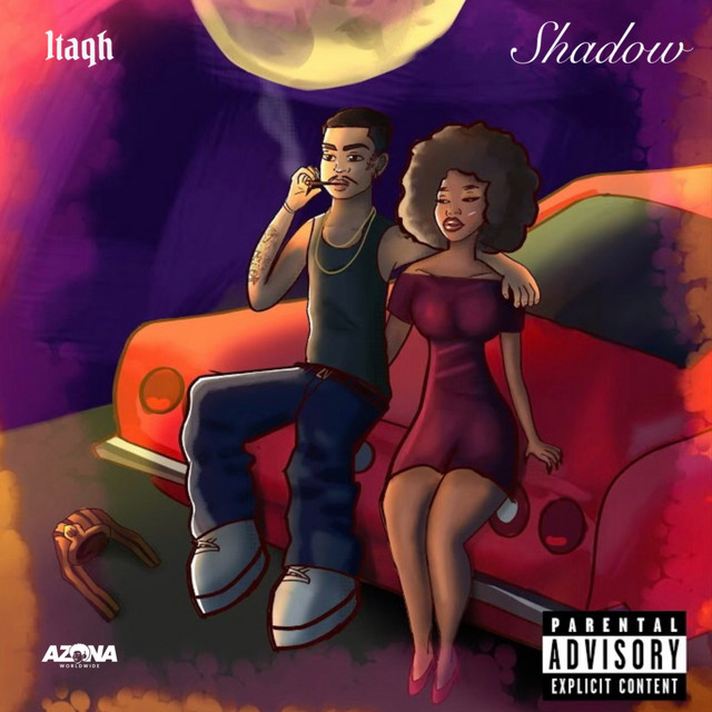 Shadow cover art