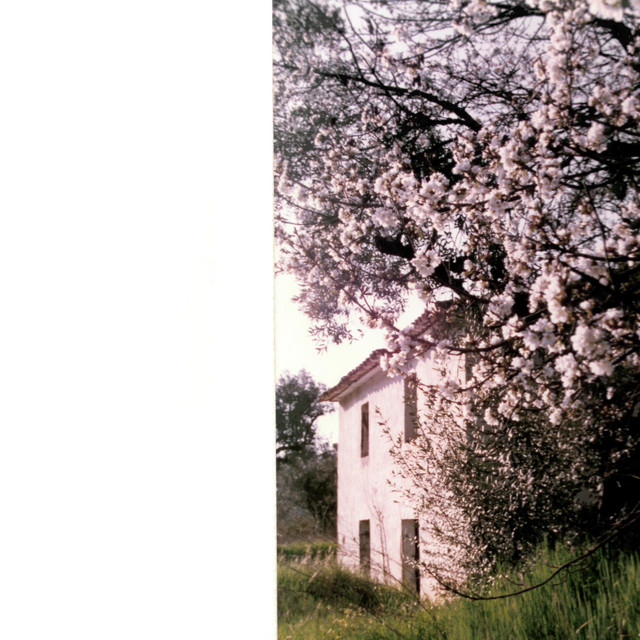Bloom cover art