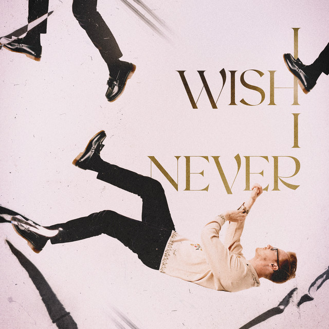 I Wish I Never album image