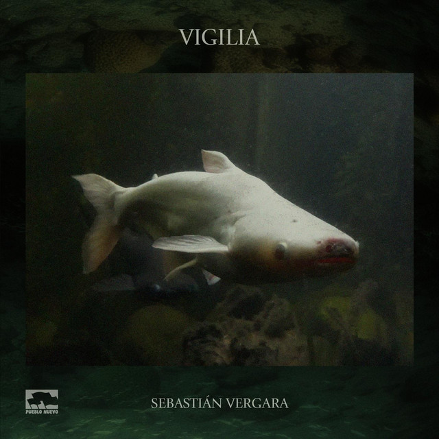 Vigilia cover art
